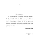 Tăng cường khả năng tự tạo việc làm cho thanh niên Việt Nam