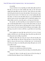 Kế toán bán hàng và xác định kết quả kinh doanh tại Cty Cổ phần Ngọc Anh - 1 pps