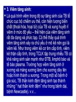 Bài giảng bệnh lý học thú y : Phân loại viêm part 5 ppt