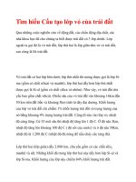 Tìm hiểu Cấu tạo lớp vỏ của trái đất ppt