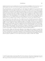 Objects of Metaphor phần 7 potx