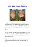 Giới thiệu chung về cá Dĩa pot