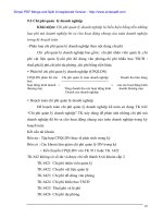 Kế toán bán hàng và xác định kết quả kinh doanh tại Cty Bóng đèn Điện Quang - 3 pps