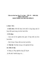 Giáo án hóa học lớp 12 cơ bản – Tiết 42 : KIM LOẠI KIỀM V HỢP CHẤT QUAN TRỌNG CỦA KIM LOẠI KIỀM(T2) docx