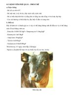 Các bệnh thường gặp ở bò sữa part 4 ppsx