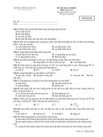 ĐỀ THI TRẮC NGHIỆM MÔN VẬT LÍ 11 - Mã đề thi 602 pptx