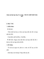 Giáo án hóa học lớp 12 cơ bản - Tiết 53: HỢP CHẤT CỦA SẮT ppsx