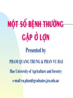 một số bệnh thường gặp ở lợn