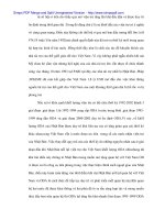 Nghiên cứu đầu tư của Nhật Bản ra nước ngoài và hiệu quả kinhh tế của nó - 5 pptx