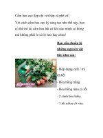 Cắm hoa cực đẹp chỉ với hộp cà phê cũ! pdf