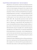 Vận dụng kinh nghiệm các nước lớn khi hội nhập - 3 docx