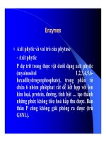 Thức ăn bổ sung cho vật nuôi : Thức ăn bổ sung mang tính chất chăn nuôi (phụ gia chăn nuôi) part 4 pdf