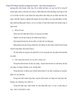 Thực hiện công tác thông quan hạt nhựa nhập khẩu tại Cty CP công nghệ phẩm Đà Nẵng - 5 pps