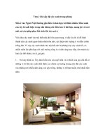 7 lưu ý khi sắp đặt cây xanh trong phòng pps