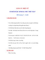 Giáo án mầm non - EM BÉ ĐƯỢC SINH RA NHƯ THẾ NÀO? potx