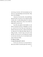 Kỹ thuật chăn nuôi lợn thịt part 9 ppt