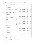 Doanh nghiệp nhỏ và vừa ở Đà Nẵng, thách thức và giải pháp hội nhập - 7 pps
