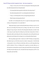 THực trạng doanh nghiệp nhỏ và áp dụng phát triển marketing cho Cty quảng cáo Phước Sơn - 3 pot