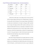 Giải pháp hoàn thiện công tác bán hàng tại Vissan Đà Nẵng - 4 pdf