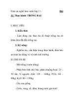 Giáo án nghề làm vườn lớp 11 - 33 Thực hành: TRỒNG RAU pot