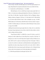 Tự do hóa tại thị trường EU - Thực trangh hàng Việt Nam sang EU và cách thâm nhập hiệu quả - 7 pptx
