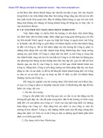 Hiện trạng và giải pháp Marketing vận tải biển tại Cty NOSCO - 5 pdf