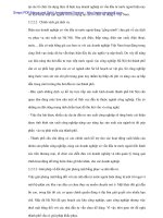 Thực trạng và giải pháp cho vốn FDI ở thủ đô Hà Nội - 9 doc