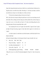 Công tác kế tóan tại Cty Phát triển Bưu điện trong thời kì cổ phần hóa - 5 doc