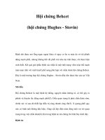 Hội chứng Behcet (hội chứng Hughes - Stovin) docx