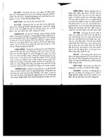 Kỹ thuật chăn nuôi gà Nòi part 6 ppt