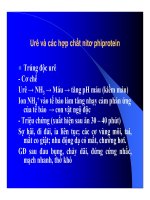 Thức ăn bổ sung cho vật nuôi : Thức ăn bổ sung dinh dưỡng part 3 pdf