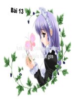 bài 13 ảnh hưởng của môi trường lên tính trạng