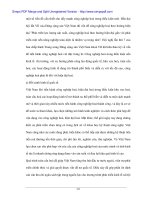 Vai trò FDI trong tổng thể chiến lược phát triển kinh tế Việt Nam - 2 docx