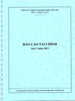 Công ty cổ phần tập đoàn thép tiến lên báo cáo tài chính quý 2 năm 2013