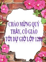bài các bằng chứng tiến hóa