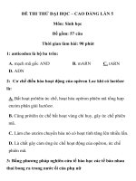 ĐỀ THI THỬ ĐẠI HỌC – CAO ĐẲNG LẦN 5 TRƯỜNG THPT PHAN THÚC TRỰC ppsx