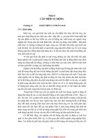 giáo trình trang bị công nghệ và cấp phôi tự động C11 ppsx