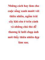 Những cách hay làm cho cuộc sống xanh mướt với thiên nhiên, ngắm trái cây khi còn ở trên cành và những chú thỏ dễ thương lè lưỡi chụp ảnh mới thấy thiên nhiên đẹp làm sao.