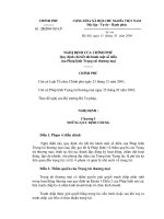 Nghị định Số : 25/2004/NĐ-CP ppt