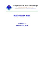 Bài giảng bệnh chuyên khoa nông nghiệp : BỆNH HẠI CÂY NHẢN ppsx