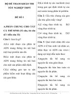 BỘ ĐỀ THAM KHẢO THI TỐT NGHIỆP MÔN SINH HỌC ĐỀ SỐ 1 potx