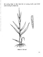 Hướng dẫn kỹ thuật nuôi dê part 3 pdf