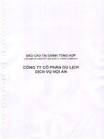 công ty cổ phần du lịch dịch vụ hội an báo cáo tài chính tổng hợp cho năm tài chính kết thúc 31 tháng 12 năm 2012