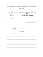 MẪU TỜ TRÌNH CỦA CÁC ĐƠN VỊ TRỰC THUỘC BẢO HIỂM XÃ HỘI VIỆT NAM ppt