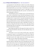 Quản lý kênh phân phối ở Cty chử thập đỏ VINA RECO - 5 pps