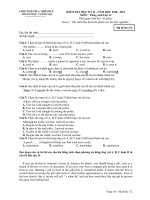 KIỂM TRA HỌC KỲ II - NĂM HỌC 2010 - 2011 MÔN : Tiếng Anh Lớp 12 - Mã đề thi 172 ppt