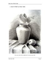 Giáo trình Vẽ Mỹ Thuật : VẼ BÚT LÔNG (MỰC NHO) part 2 potx