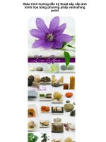 Giáo trình hướng dẫn kỹ thuật sắp xếp ảnh minh họa bằng phương pháp vanisshing point p1 ppt