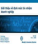 Vai trò của công ty định mức tín nhiệm trên các thị trường tài chính pot