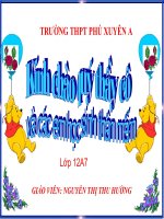 bài giảng diễn thế sinh thái